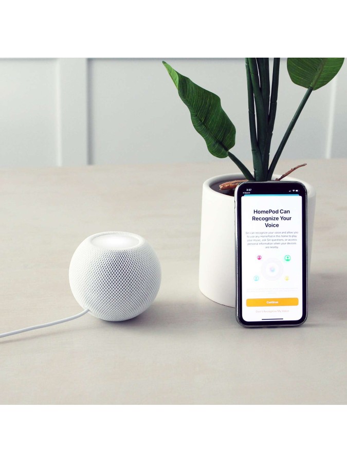 Apple HomePod Mini