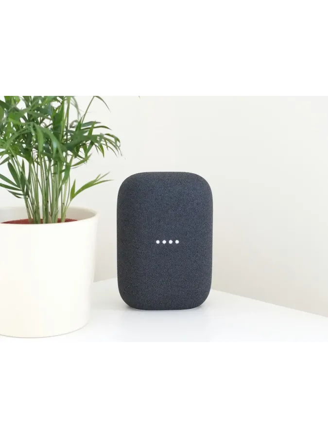 Google Nest Audio
